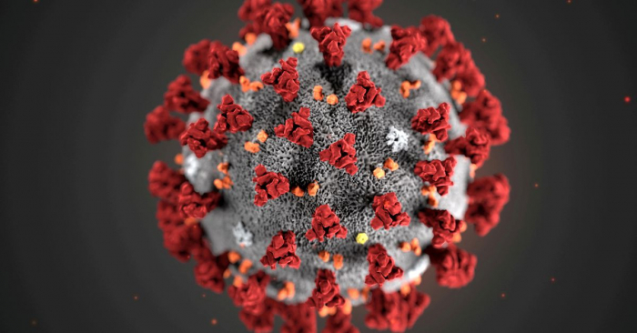 Coronavirus: la recherche sur les origines devrait se porter vers les Etats-Unis, affirme un expert chinois