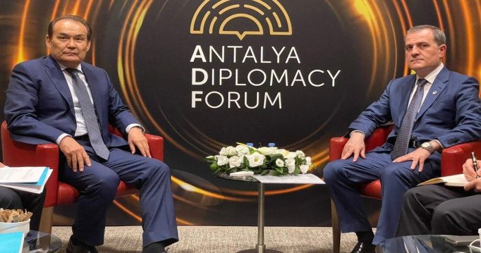   Jeyhun Bayramov und der Generalsekretär des Türkischen Rates diskutierten über die Schuscha-Erklärung  