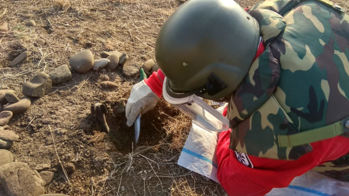  Azerbaijan detects 196 more landmines in liberated territories 