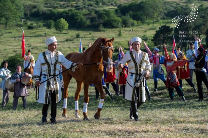    Ərdoğana “Zəfər” adlı Qarabağ atı hədiyyə edildi   