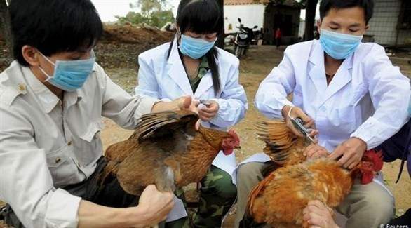 الصين تسجل حالة إصابة بشرية بإنفلونزا الطيور