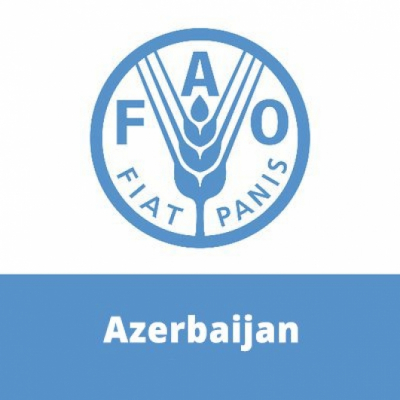 Un proyecto de la UE y la FAO promueve la producción local de alimentos en Azerbaiyán