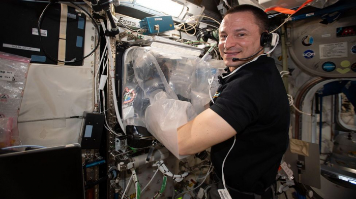   Why astronauts are printing organs in space -   iWONDER    