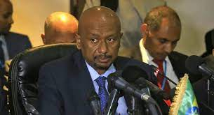   وزير الري الإثيوبي:   عملية إنشاء سد النهضة تسير وفق الجدول المخطط