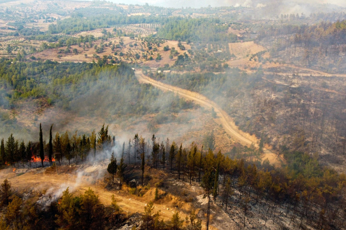 Turkey battles wildfires for 3rd day in a row 