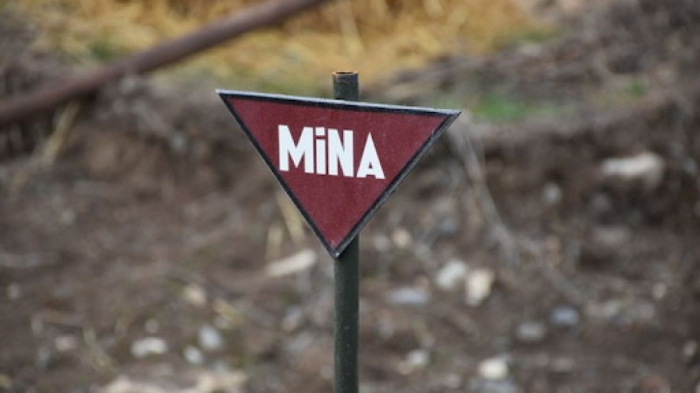    Xocalıda iki nəfər minaya düşüb  
   