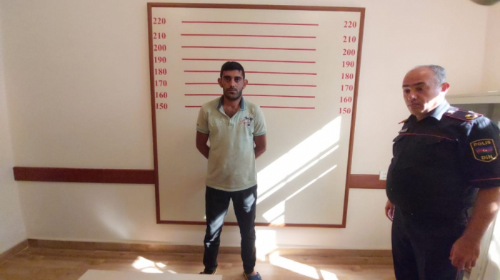 Qubada narkotika becərən şəxslər saxlanılıb