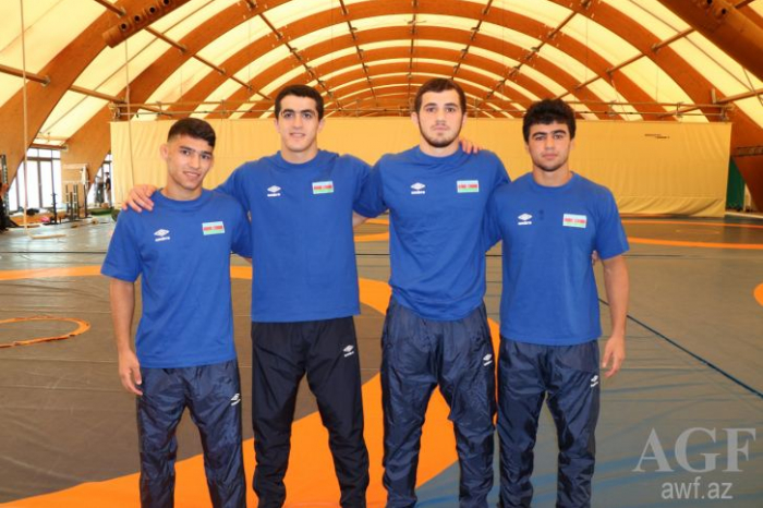 Azerbaijani wrestlers reach quarterfinals of European Championship in Dortmund