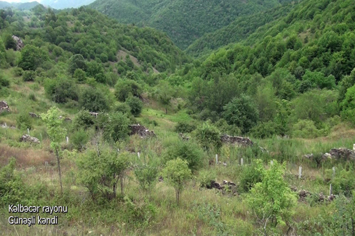   La aldea de Gunashli en la región de Kalbajar -   VIDEO    