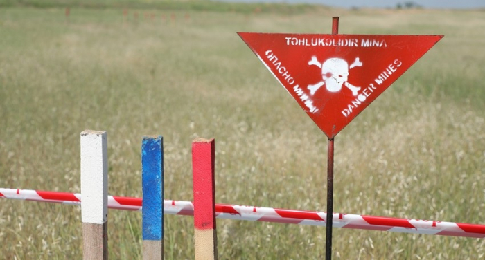   Azerbaijan continues demining operations in its liberated lands  