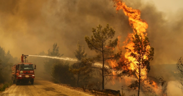  تركيا يحدد 88 حريقًا من أصل 98 حرائق غابات 