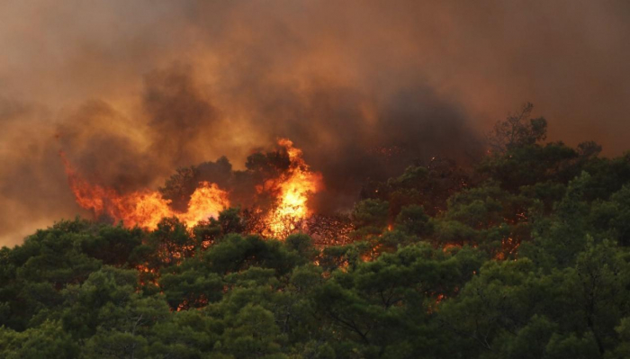 Arson-loving PKK prime suspect as forest fires hit Turkey