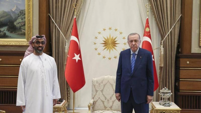 أردوغان يستقبل وفدا إماراتيا برئاسة طحنون بن زايد