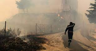 تعويض جميع الفلاحين المتضررين من حرائق الغابات في الجزائر