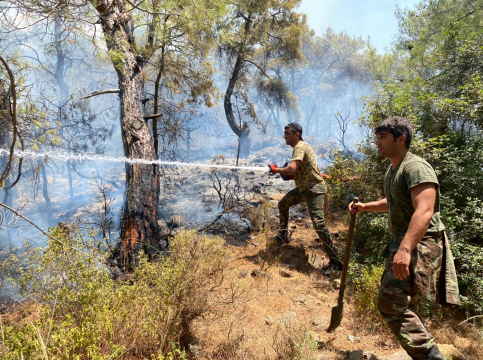   Aserbaidschanische Feuerwehrleute verhindern die Ausbreitung von Waldbränden in Marmaris –   VIDEO    