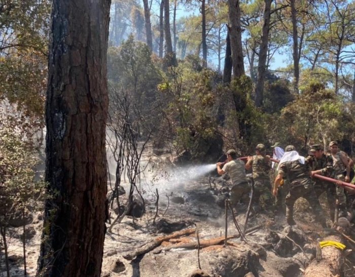  Azerbaijani firefighters continue extinguishing forest fires in Turkey -  PHOTO