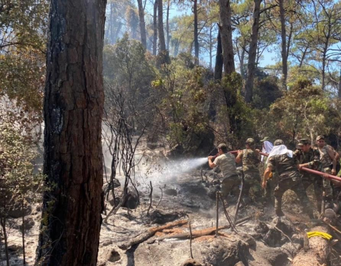   Aserbaidschanische Feuerwehrleute löschen weiterhin Waldbrände in der Türkei -   FOTOS    