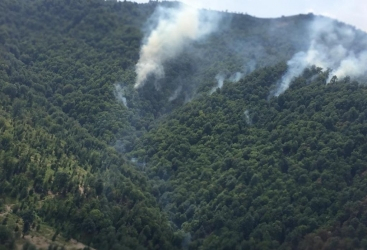   وزارة حالات الطوارئ تصدر بيانا بشأن نشوب حريق في لنكران  