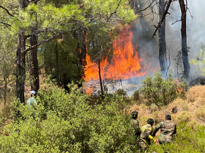  Aserbaidschanisches Feuerwehr- und Rettungsteam in der türkischen Region Denizli 