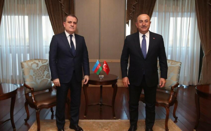  Azerbaijani and Turkish FMs discuss current situation regarding wildfires in Turkey  