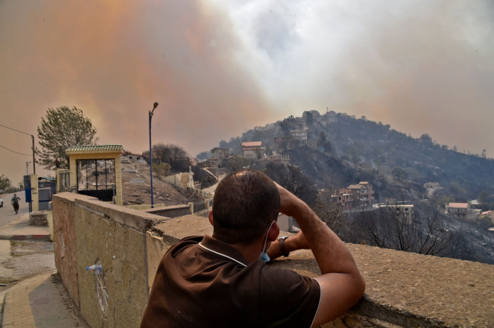 At least 65 dead as wildfires rage across Algeria