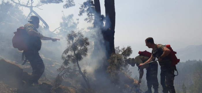   Aufgaben des aserbaidschanischen Präsidenten zur Bekämpfung von Waldbränden in der Türkei vollständig erfüllt  