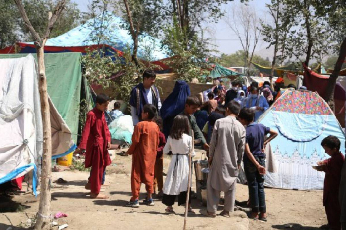 12.2 mln people in Afghanistan acutely food insecure, UN says 