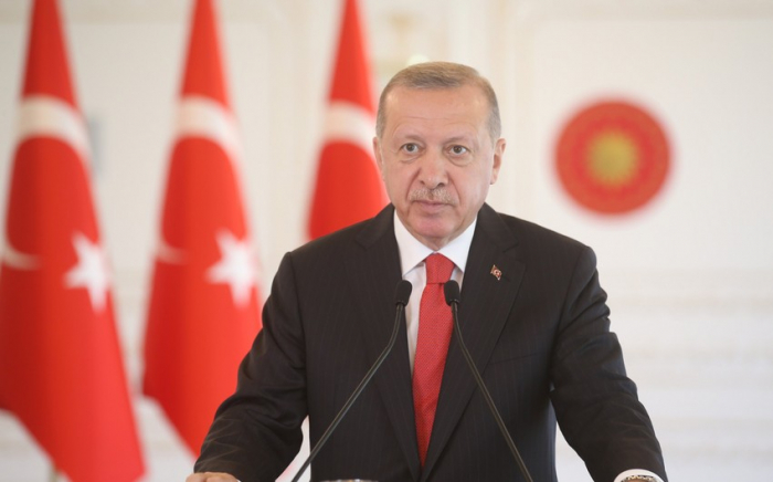    Ərdoğan meşə yanğınlarına görə saxlanılanlardan danışıb    