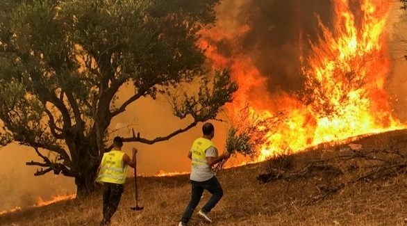 الجزائر تعلن إخماد حرائق في البلاد