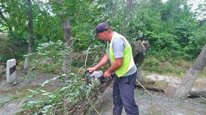 İsmayıllı-Oğuz yolu ağaclardan təmizlənib -    FOTO   