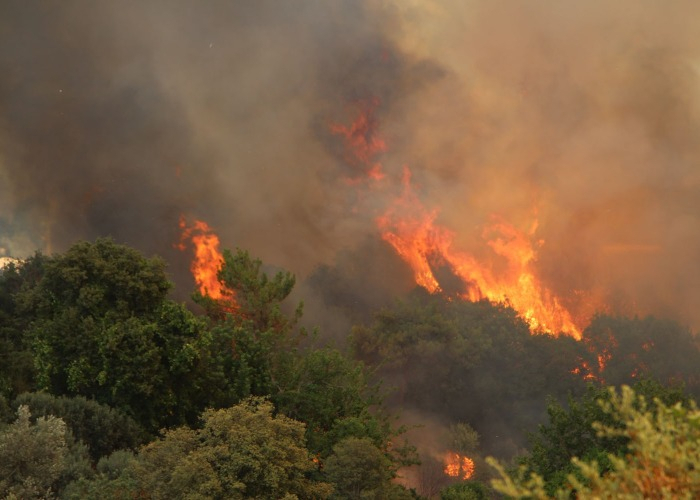   الغابة تحترق في ليريك  