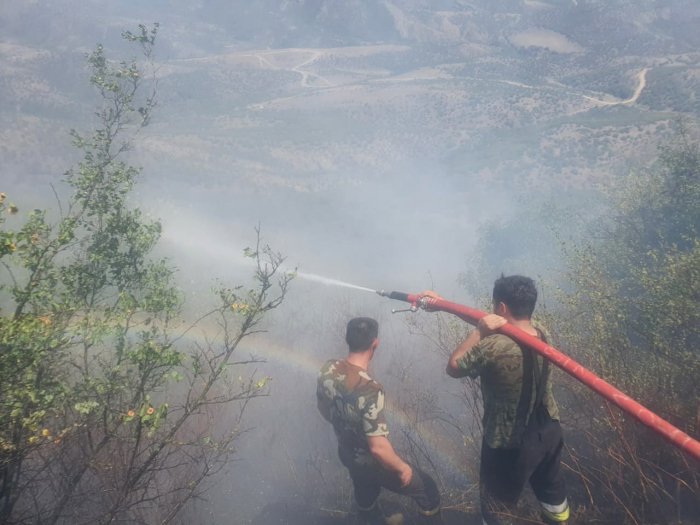    Qəbələdə yanğın davam edir -    FOTO + VİDEO     
   