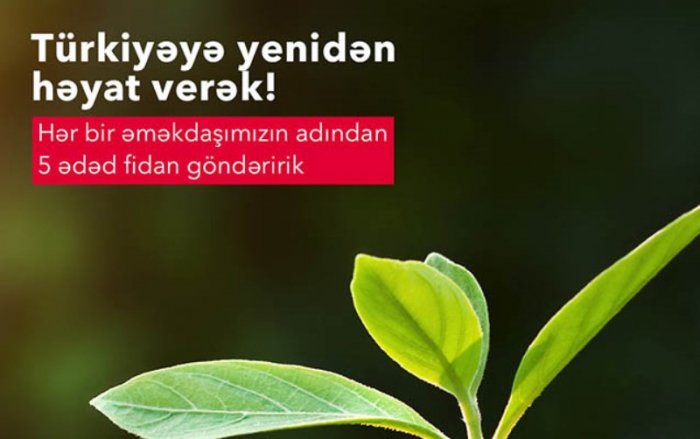 “AccessBank” Türkiyəyə 6000-dək ağac tingi bağışlayacaq  
