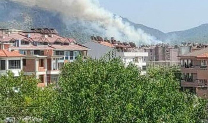   Türkiyədə daha bir meşə yanğını   
