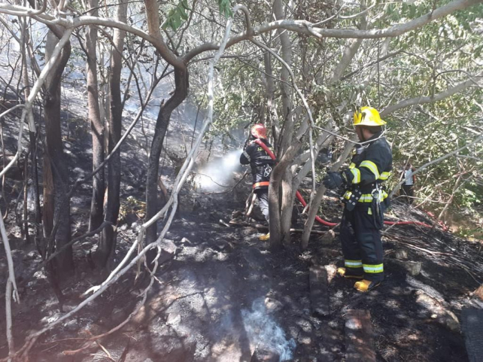    إخماد الحريق في المنطقة الجبلية في أوغوز  
