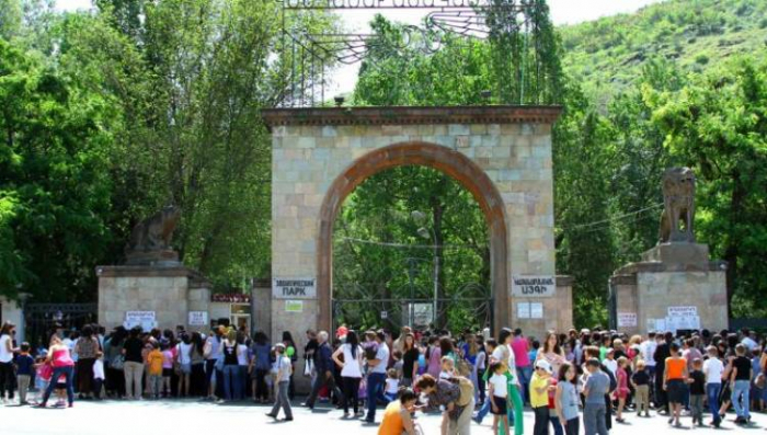 Ermənistanda zoopark işçiləri etiraz aksiyası keçirirlər