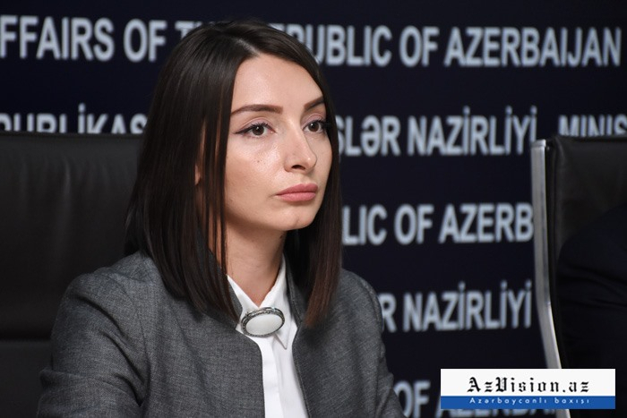  ليلى عبدللاييفا ترد على بيان الخارجية الأرمينية 