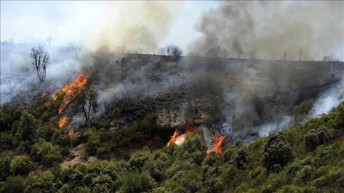 Un premier décès signalé dans les incendies du sud-est de France