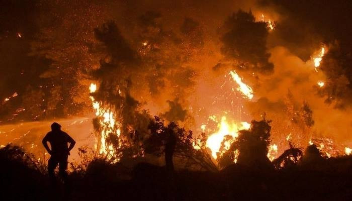  Yunanıstanda meşələri yandıran 118 nəfər tutuldu 