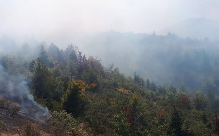Qəbələdə dağlıq ərazidəki yanğın söndürülüb