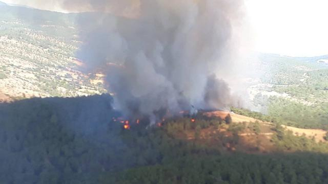   Wieder in Türkei brennt Wald  