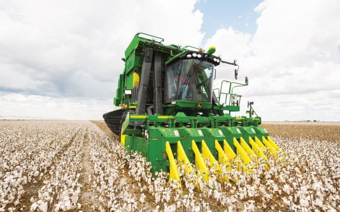 Azerbaijan to give subsidies for sowing with agricultural insurance