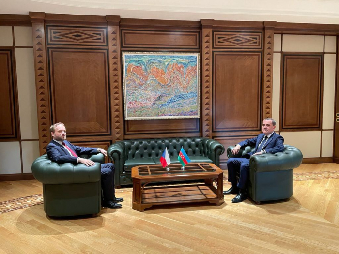   Aserbaidschanischer Außenminister empfing seinen tschechischen Amtskollegen  