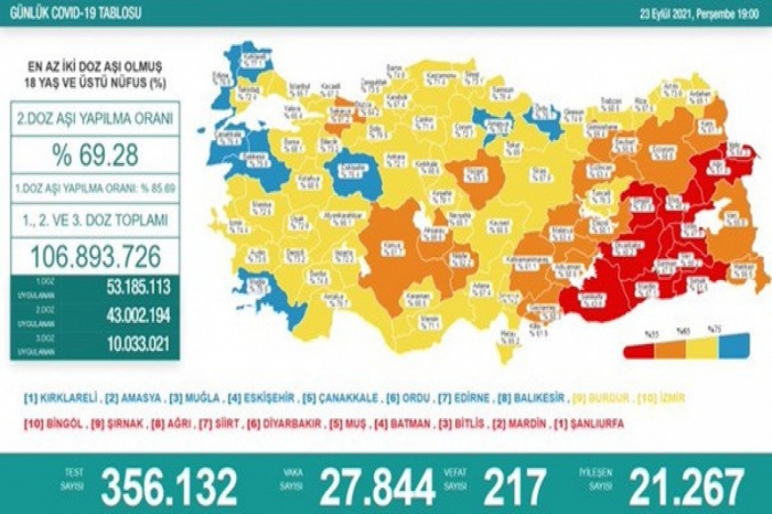 Türkiyədə koronavirusdan daha 217 nəfər ölüb