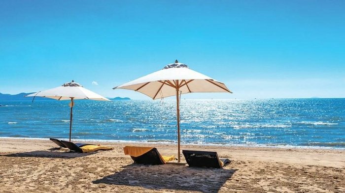 Antikovid tədbirləri turizmə təsir etməyəcək -   Türkiyə səfiri   