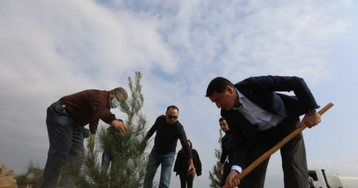   Des représentants du corps diplomatique plantent des arbres dans le village de Chykharkh  