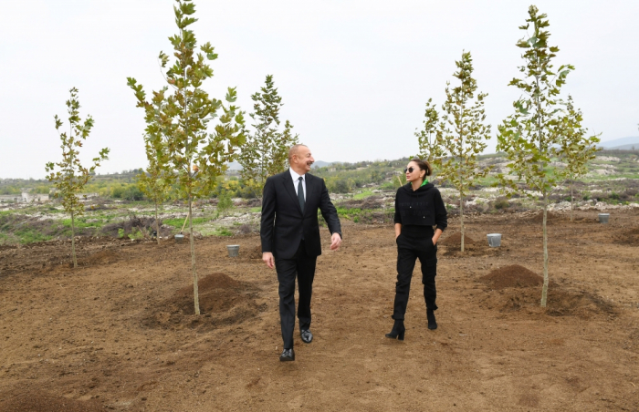  Ilham Aliyev et Mehriban Aliyeva plantent des arbres dans le Parc urbain central à construire à Fuzouli-  PHOTOS    
