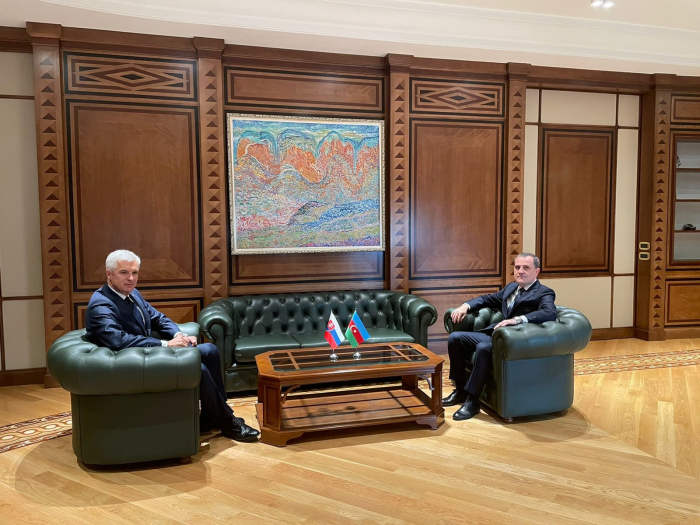   Azerbaijani, Slovak FMs meet in Baku  