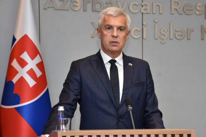   Azerbaijan is an important partner of Slovakia, Slovakian FM says  