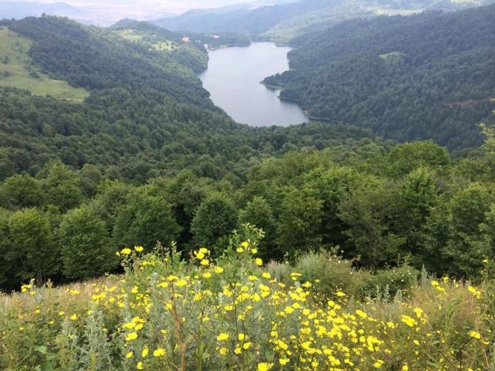 Aserbaidschan richtet Nationalparks in befreiten Gebieten ein